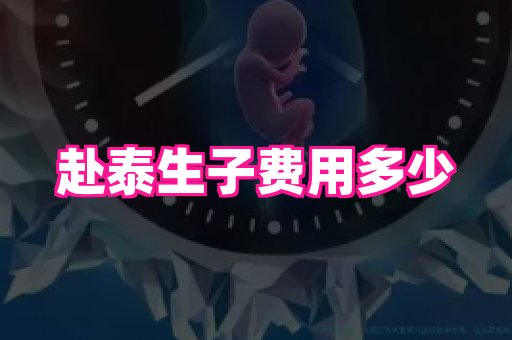 点点助孕网 3