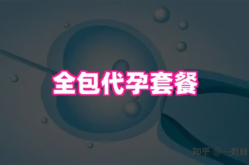 点点助孕网 4
